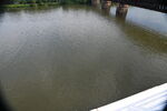 DSC_5928.JPG